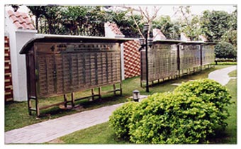 Click to watch the big picture